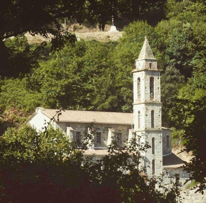 Casa Arena Authentique Maison De Village Avec Piscine Au Coeur De L'Alta Rocca - Zoza Exterior foto