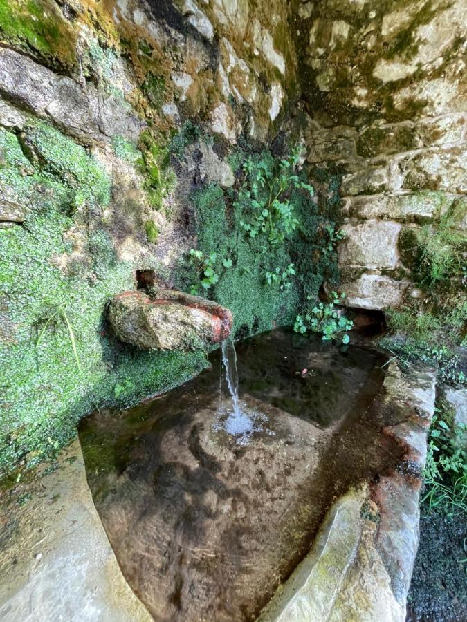Casa Arena Authentique Maison De Village Avec Piscine Au Coeur De L'Alta Rocca - Zoza Exterior foto
